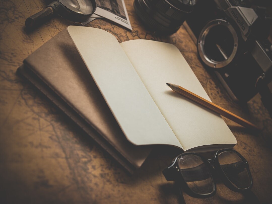 mystery writer notebook