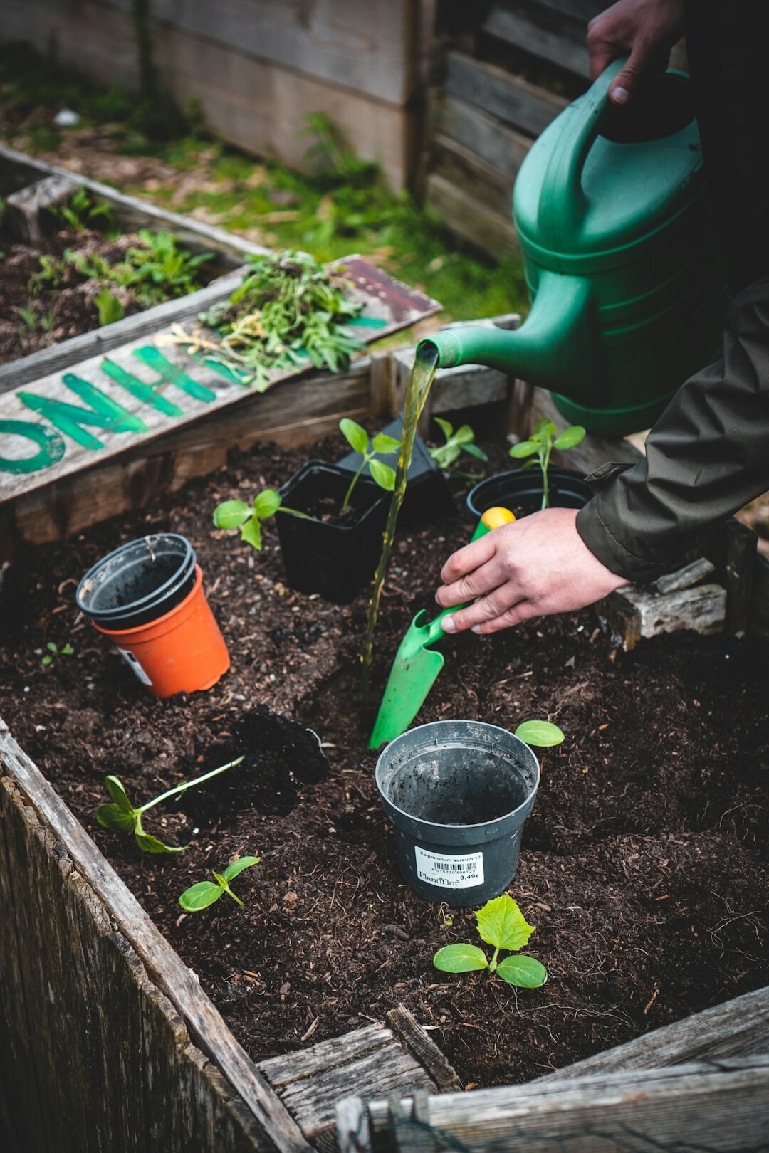 person gardening quietly